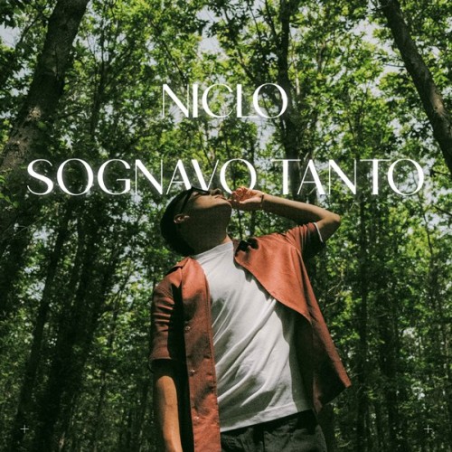 Sognavo tanto